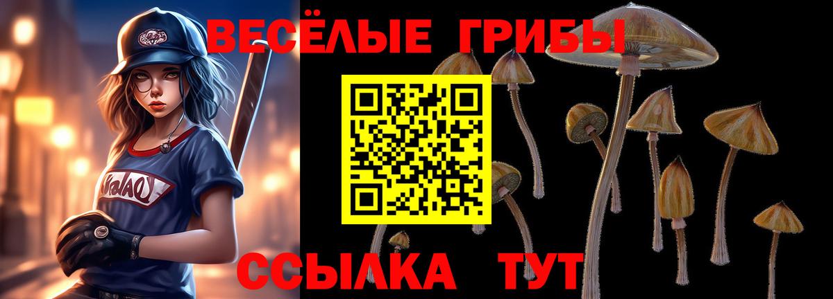 Псилоцибиновые грибы ЛСД Бердск